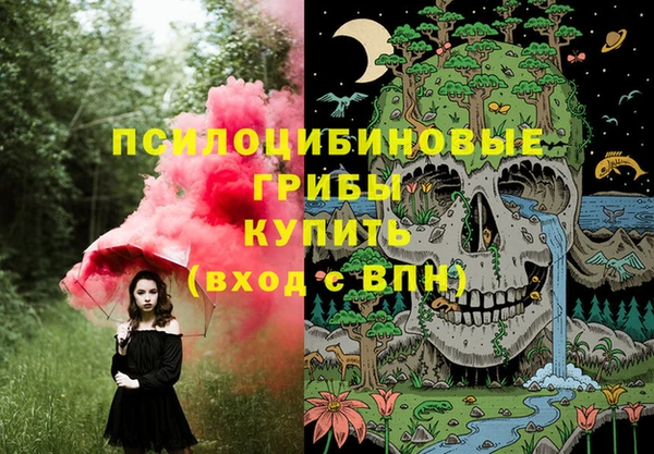 ешки Верхний Тагил