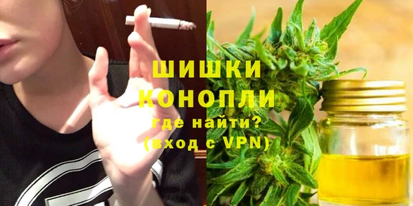 стафф Богородск