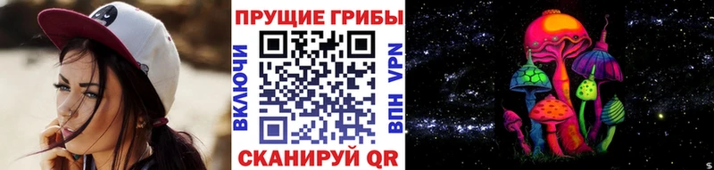 дарнет шоп  МЕГА рабочий сайт  Галлюциногенные грибы Magic Shrooms  Новокузнецк 
